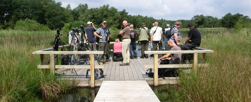 Excursie - Foto: Bureau FaunaX