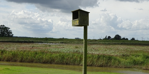 Nestkast voor een torenvalk Nestkast voor een torenvalk
