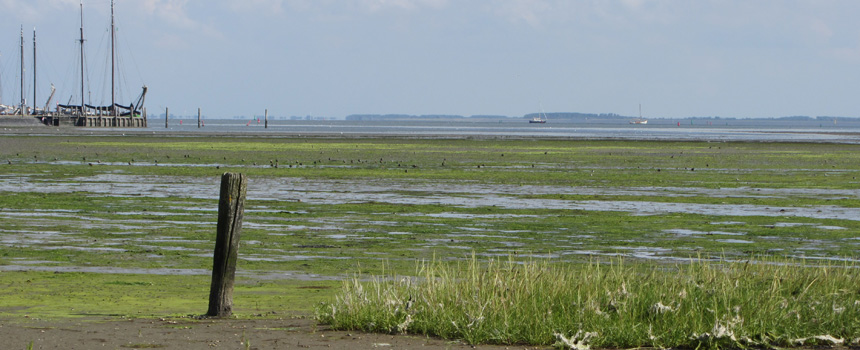 Het wad bij Schiermonnikoog - Foto: Tineke de Boer